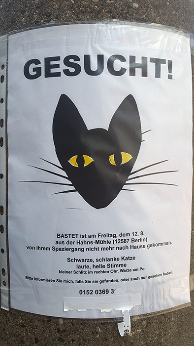 Katze vermisst Berlin