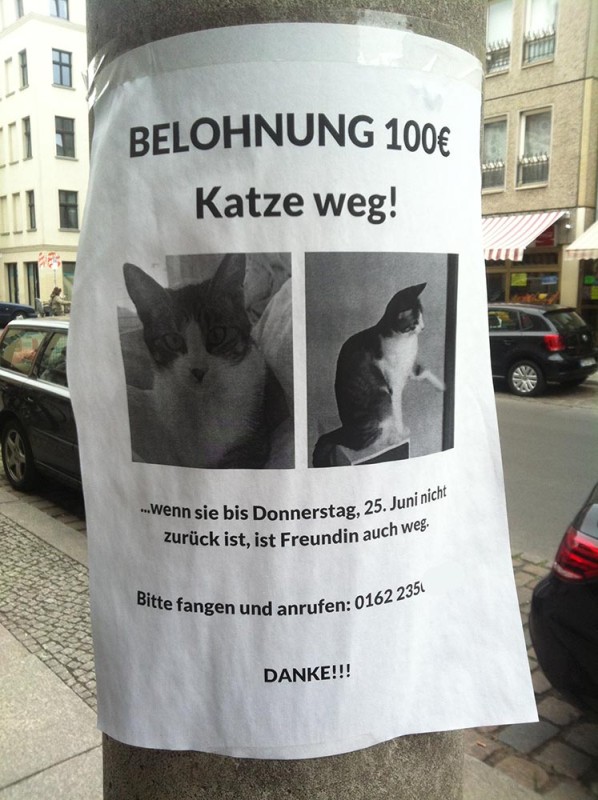 Katze-weg-Freundin-Berlin