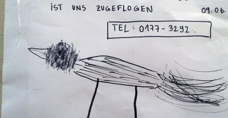 Vogel entflogen Berlin