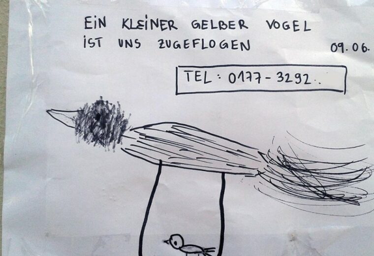 Vogel entflogen Berlin