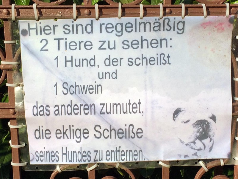 Hundescheisse Berlin Schweinerei Sauerei Hundehalter Kacke auf der Strasse