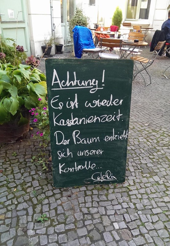 Kastanienzeit Berlin Achtung vor Kastanien fallen vom Baum