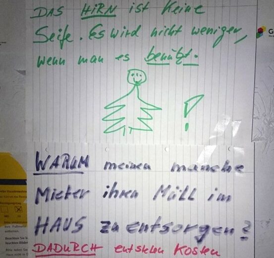 wissenswertes über das menschliche gehirn