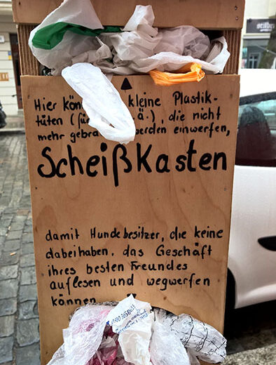 Hundekacke in Berlin auf der Straße