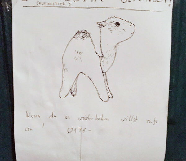 Kuscheltiere Berlin