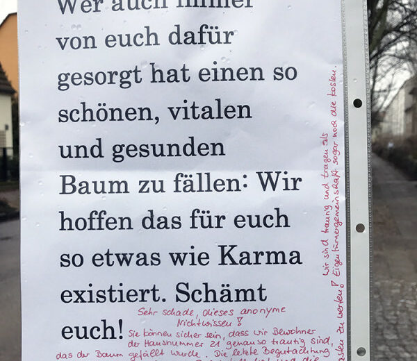 Baumfällung Berlin