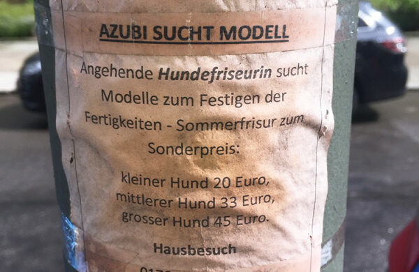 Hundefriseur Berlin