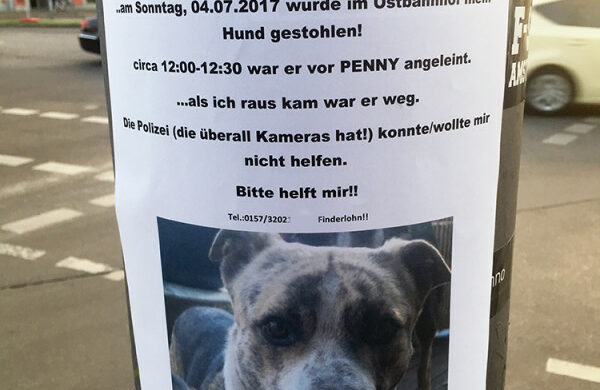 Hund gestohlen Berlin