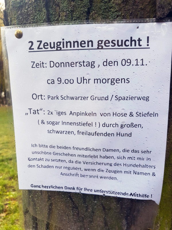 Ärger mit Hunden