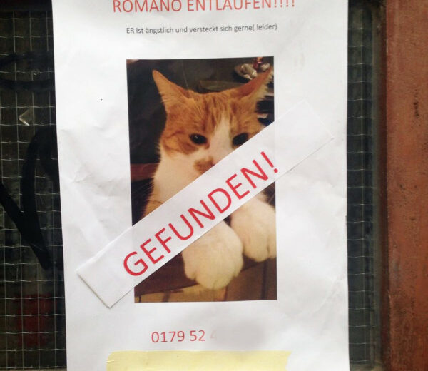 Romano Berlin