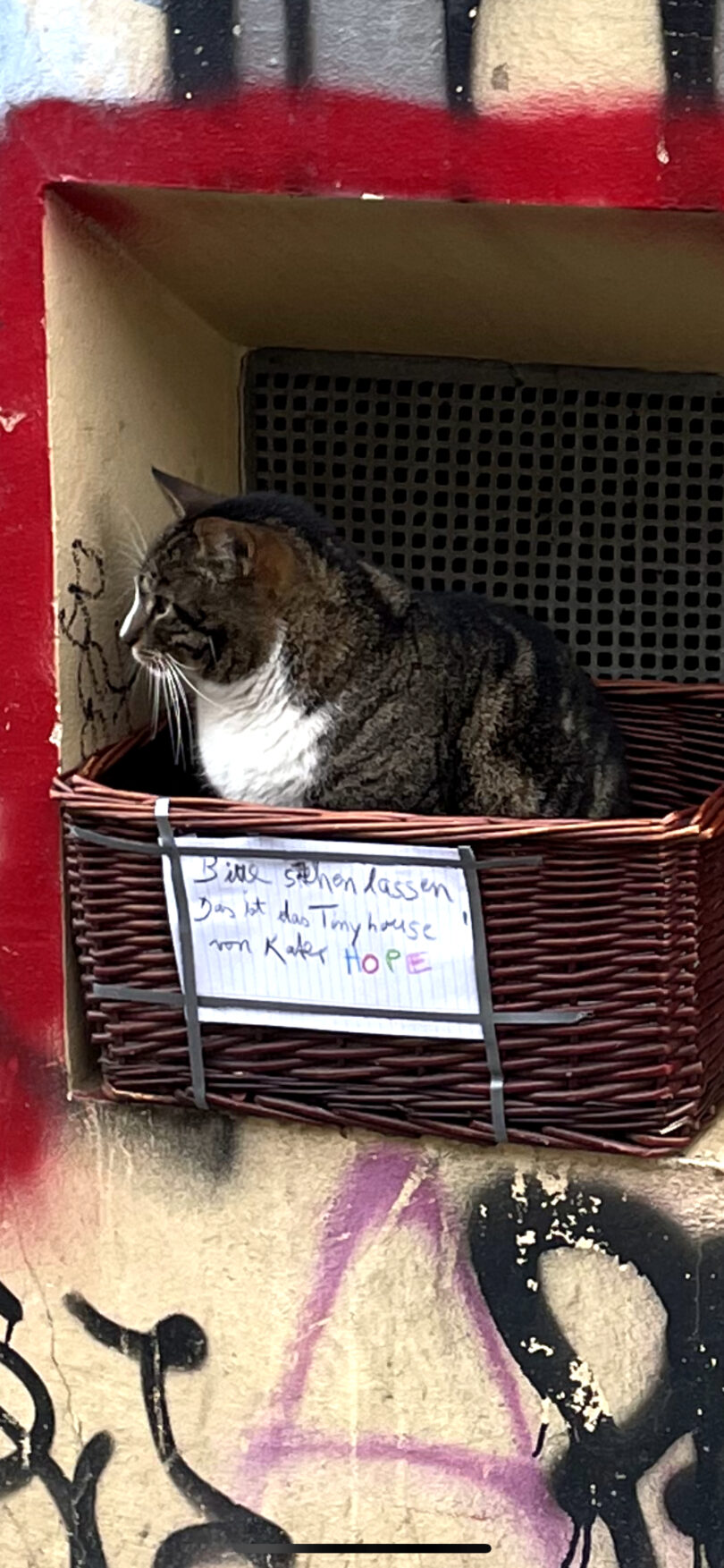 Tiny House in Berlin Auch der Kater verdient sein eigenes Heim